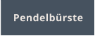 Pendelbürste
