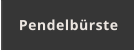 Pendelbürste